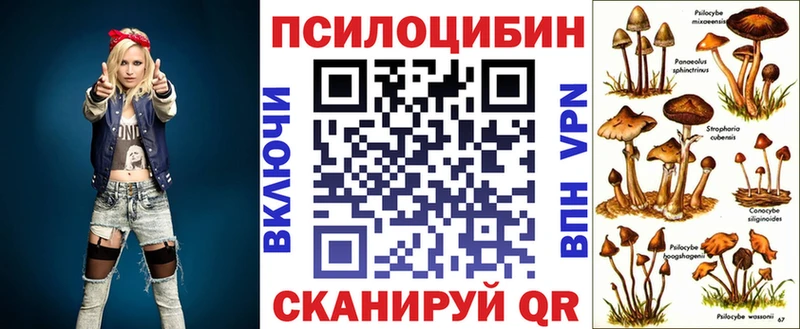 Псилоцибиновые грибы Psilocybine cubensis  купить наркотики сайты  Питкяранта 